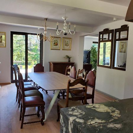 Nad Dabrowka Villa Mala Huta Buitenkant foto