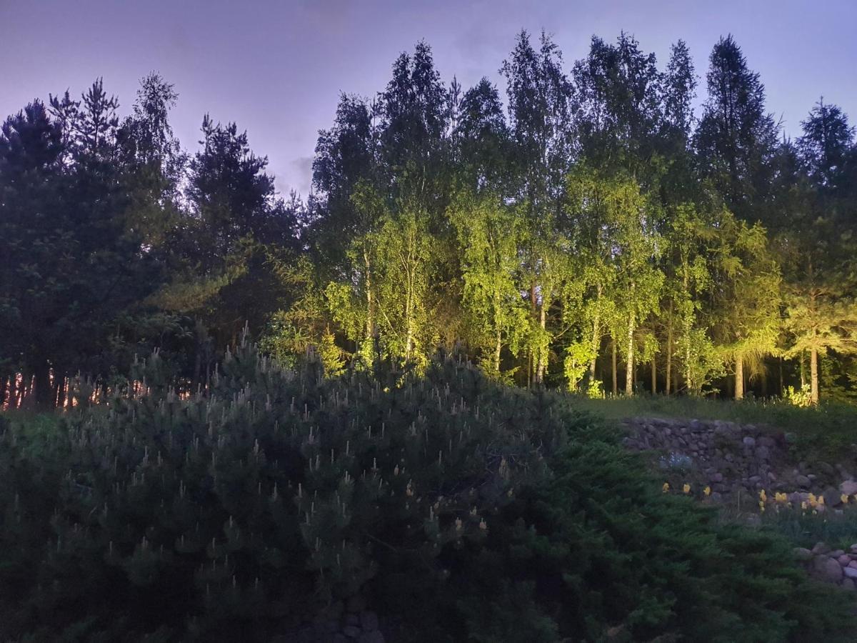 Nad Dabrowka Villa Mala Huta Buitenkant foto